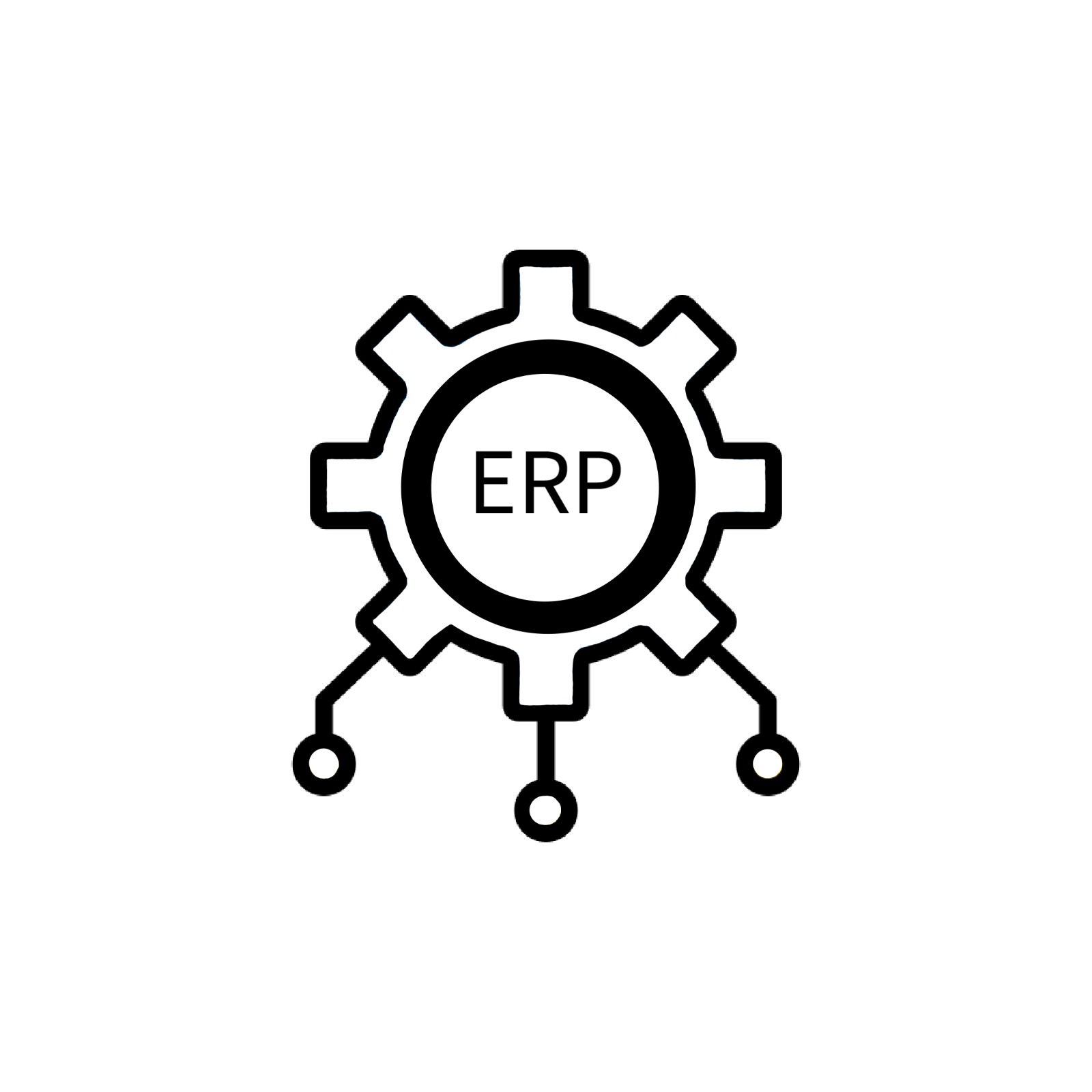 Enterprise Resource Planning